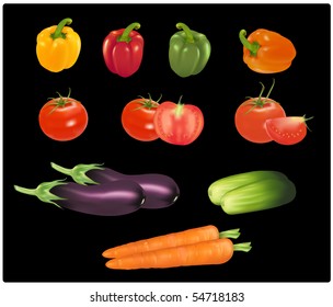 The big colorful group of vegetables. Photo-realistic vector.