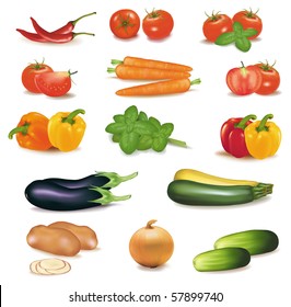 The big colorful group of vegetables. Photo-realistic vector.