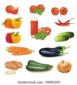 The big colorful group of vegetables. Photo-realistic vector.