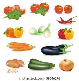 The big colorful group of vegetables. Photo-realistic vector.