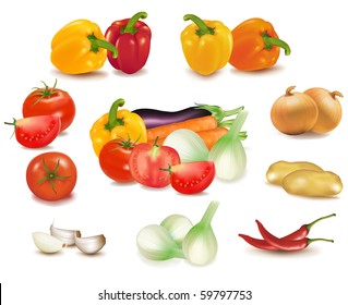 The big colorful group of vegetables. Photo-realistic vector.