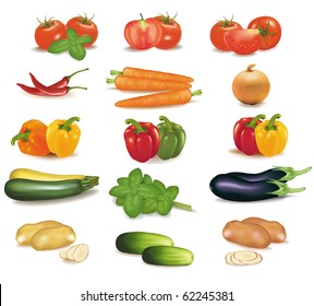 The big colorful group of vegetables. Photo-realistic vector.