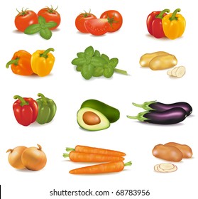 The big colorful group of vegetables. Photo-realistic vector.