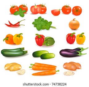 The big colorful group of vegetables. Photo-realistic vector.