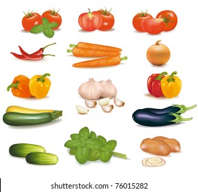 The big colorful group of vegetables. Photo-realistic vector.