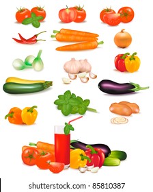 The big colorful group of vegetables. Photo-realistic vector.