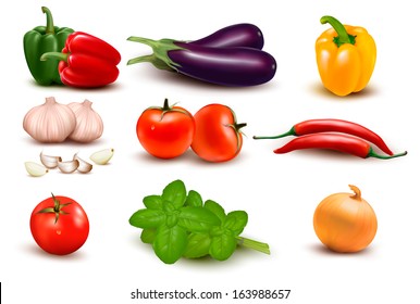 The big colorful group of vegetables. Vector. 