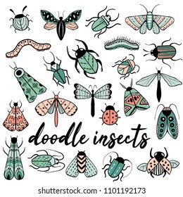 Big colorful hand drawn doodle set with insects. Beetle, butterfly, moth, worm collection in outline style. Isolated on white illustration