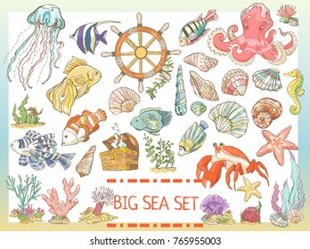 Big colorful sea set. Collection of hand drawn fish, seaweed, octopus, jellyfish, seahorse, crab shells isolated on white background