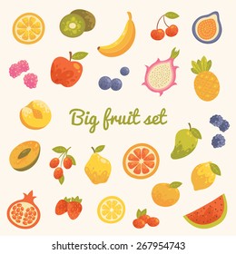 Big colorful summer set of fruits in vector. Cartoon collection.