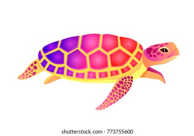 Big colorful turtle