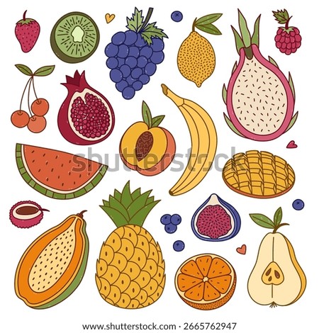 Big colourful doodle set with summertime fruits and berries. Hand drawn outline tropical, exotic, farming sweet food for print, social media, packaging, restaurant menu. Grape, peach, pear, mango.