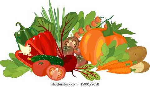 Big composition of different vegetables isolated on white background