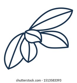 Big composition of leaves. Vector illustration in simple minimalist style. Beautiful natural outline icon or clip art. Exotic tropical jungle plant symbol. Monochrome isolated elegant feminine element