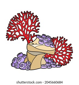 Big coral polyps grow on stone  color variation for coloring page isolated on white background