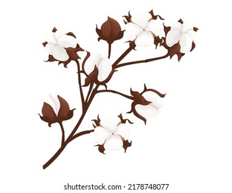 Big cotton flower branch vector illustration isolated on white background