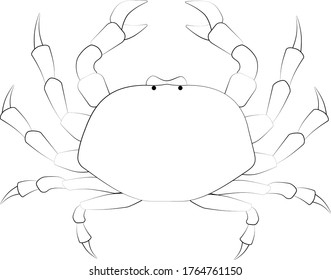 Große Krabbenbild Symbol Ozean Vektorgrafik.