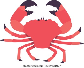 big Crab. Vector illustration separated on a white background.