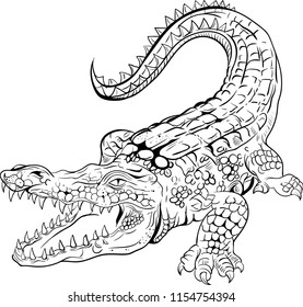 big crocodile vector