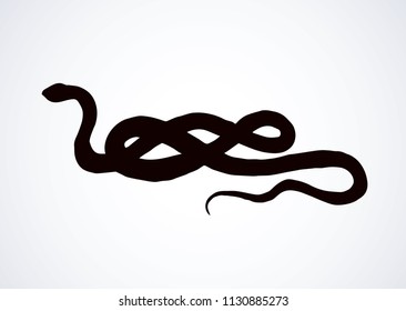 Big curve creepy viperidae crotalus asp serpentine on white backdrop. Dark black ink hand drawn zoo pictogram emblem logo in art retro contour etching print style. Closeup view space for text