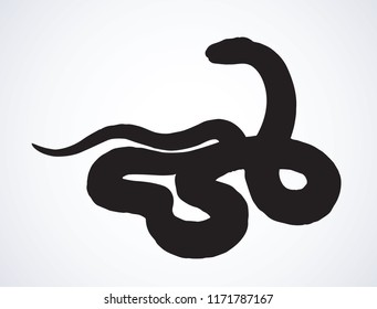 Big curve creepy viperidae crotalus asp serpentine on white backdrop. Dark black ink hand drawn zoo pictogram emblem logo in art retro contour etching print style. Closeup view space for text