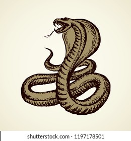 Big curve creepy viperidae crotalus asp serpentine on white backdrop. Outline black ink hand drawn zoo pictogram emblem logo sketchy in art retro doodle style pen on paper space for text. Closeup view