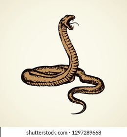 Big curve creepy viperidae crotalus asp serpentine on white backdrop. Outline black ink hand drawn zoo pictogram emblem logo sketchy in art retro doodle style pen on paper space for text. Closeup view