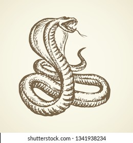 Big curve creepy viperidae crotalus asp serpentine on white backdrop. Outline black ink hand drawn zoo pictogram emblem logo sketchy in art retro doodle style pen on paper space for text. Closeup view