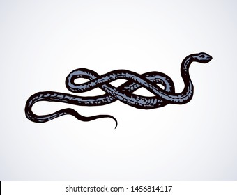 Big curve creepy viperidae crotalus asp serpentine on white backdrop. Outline black ink hand drawn zoo pictogram emblem logo sketchy in art retro doodle style pen on paper space for text. Closeup view