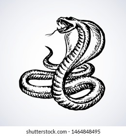 Big curve creepy viperidae crotalus asp serpentine on white backdrop. Outline black ink hand drawn zoo pictogram emblem logo sketchy in art retro doodle style pen on paper space for text. Closeup view