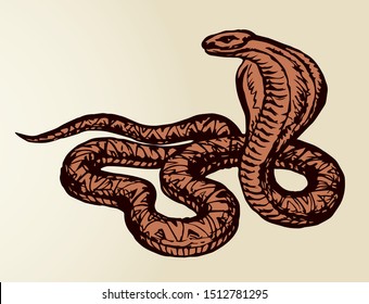 Big curve creepy viperidae crotalus asp serpentine on white backdrop. Outline black ink hand drawn zoo pictogram emblem logo sketchy in art retro doodle style pen on paper space for text. Closeup view