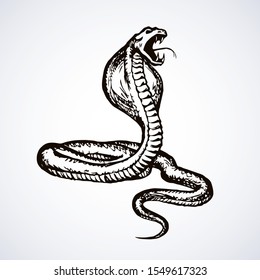 Big curve creepy viperidae crotalus asp serpentine on white backdrop. Outline black ink hand drawn zoo pictogram emblem logo sketchy in art retro doodle style pen on paper space for text. Closeup view