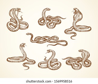 57 Viperidae Stock Vectors, Images & Vector Art | Shutterstock