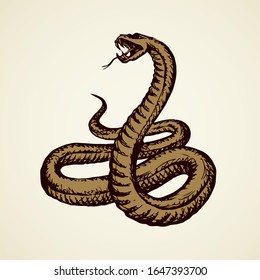 Big curve creepy viperidae crotalus asp serpentine on white backdrop. Outline black ink hand drawn zoo pictogram emblem logo sketchy in art retro doodle style pen on paper space for text. Closeup view