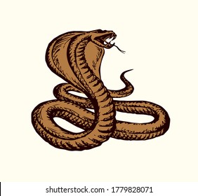 Big curve creepy viperidae crotalus asp serpentine on white backdrop. Outline black ink hand drawn zoo pictogram emblem logo sketchy in art retro doodle style pen on paper space for text. Closeup view