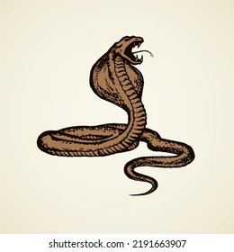 Big curve creepy viperidae crotalus asp serpentine on white backdrop. Outline black ink hand drawn zoo pictogram emblem logo sketchy in art retro doodle style pen on paper space for text. Closeup view