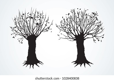 Big cut off deciduous oaktree isolated on white parkway backdrop. Dark ink hand drawn picture sketchy in art retro print graphic style with space for text on light sky