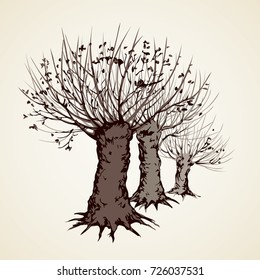 Big cut off deciduous oaktree isolated on white parkway backdrop. Freehand linear black ink hand drawn picture sketchy in art retro doodle graphic style pen on paper with space for text on sky border