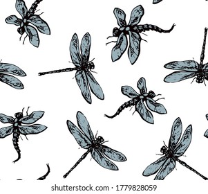 Big cute anisoptera on light backdrop. Freehand dark grey ink hand drawn logo pictogram design sketchy in retro artistic doodle contour etching style pen on paper. Close up detail view