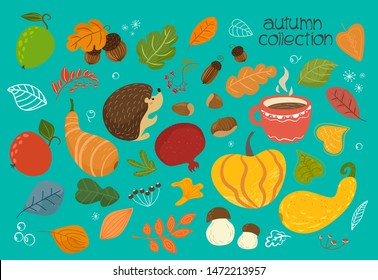 Big cute autumn set of fruits, berries, vegetables, mushrooms, a crop of hazelnuts, leaves, plants, pumpkins, pomegranates, acorns, a tea mug, a cloud of rain and a hedgehog. Vector hand drawn.