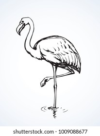 Big cute beautiful pink Phoenicopteridae on light pond backdrop. Freehand outline red ink hand drawn picture badge emblem sketchy in retro artistic scribble etch style pen on paper with space for text