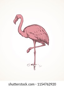 Big cute beautiful pink Phoenicopteridae on light pond backdrop. Freehand outline ink hand drawn picture badge emblem sketchy in retro artistic scribble etch style pen on paper with space for text