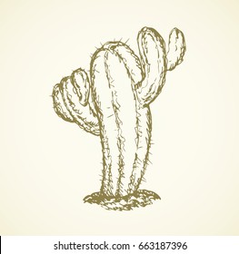 Big cute Cactaceae peyote on light sand backdrop. Freehand linear black ink hand drawn picture logo sketchy in art retro scribble style pen on paper. View closeup with space for text on sky