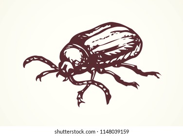 Big cute crawly coriarius prionus on light backdrop. Freehand dark ink hand drawn insecta logo emblem sketchy in retro art doodle etch print style pen on paper space for text. Close up detail view