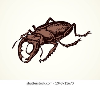 Big cute crawly lucanid stagbeetle on light backdrop. Freehand dark outline ink hand drawn insecta logo emblem sketchy in retro art doodle etch style pen on paper space for text. Close up detail view