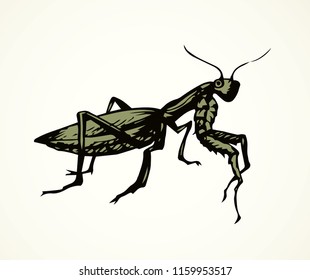 Big cute creepy Mantodea on light backdrop. Freehand dark ink hand drawn logotype insignia emblem sketchy in retro art doodle etch print style pen on paper space for text. Close up detail macro view