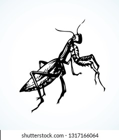 Big cute creepy Mantodea on light backdrop. Freehand dark ink hand drawn logotype insignia emblem sketchy in retro art doodle etch print style pen on paper space for text. Close up detail macro view