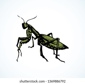 Big cute creepy Mantodea on light backdrop. Freehand dark ink hand drawn logotype insignia emblem sketchy in retro art doodle etch print style pen on paper space for text. Close up detail macro view