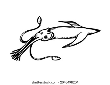 Big cute exotic calamary monster on white backdrop. Freehand linear black ink hand drawn picture logo sketchy in retro art scribble etching graphic style pen on paper. Closeup view with space for text