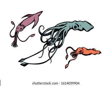 Big cute exotic old red calamary monster logotype on light white backdrop. Freehand line black ink hand drawn picture logo design in retro art doodle etching color print style. Closeup view text space